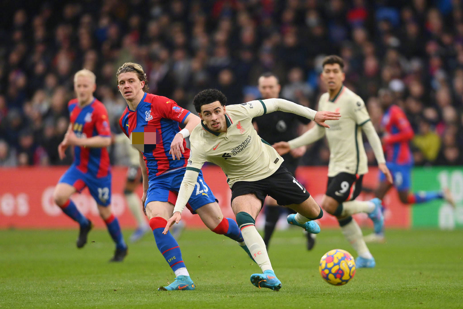 到如今年轻 到如今年轻